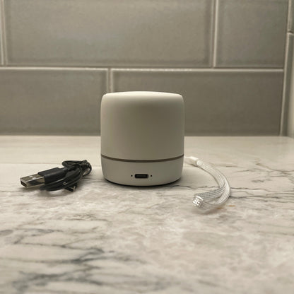 ProjectorNook™ EchoMini
